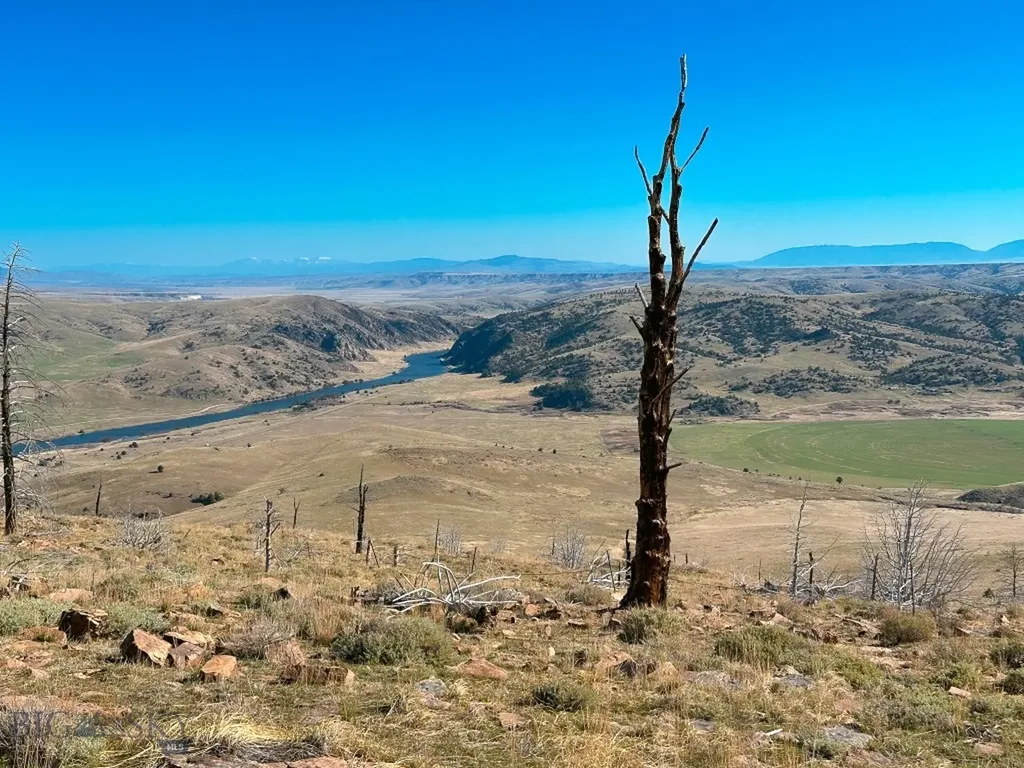 Nhn S Beartrap Canyon Road Norris MT 59745