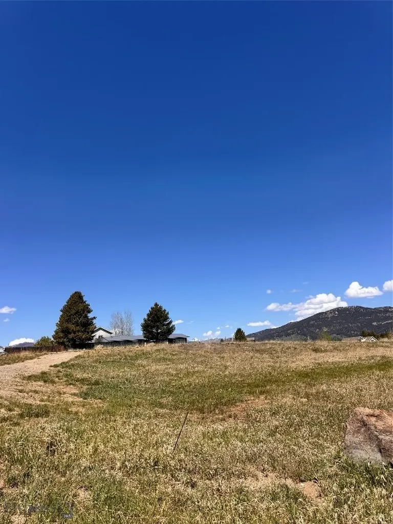76 Buffalo West Yellowstone MT 59758