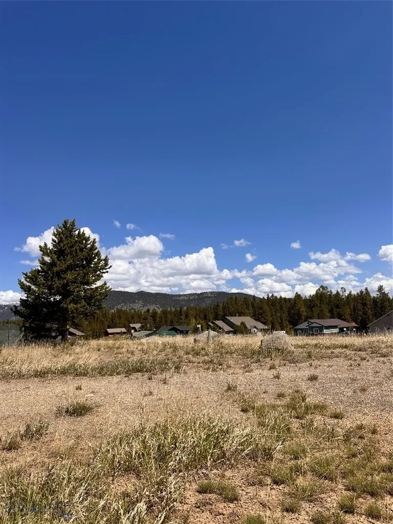 76 Buffalo West Yellowstone MT 59758