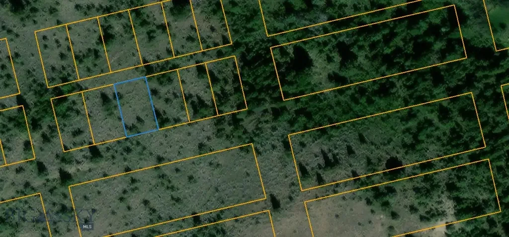 Tbd Block 223, Lot 9 Virginia City MT 59755