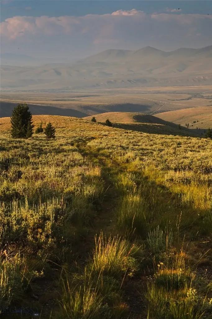31420 Highway 324 Dillon MT 59725