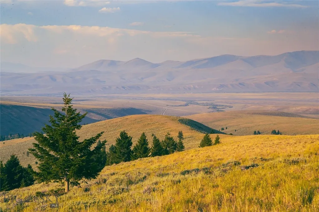 31420 Highway 324 Dillon MT 59725