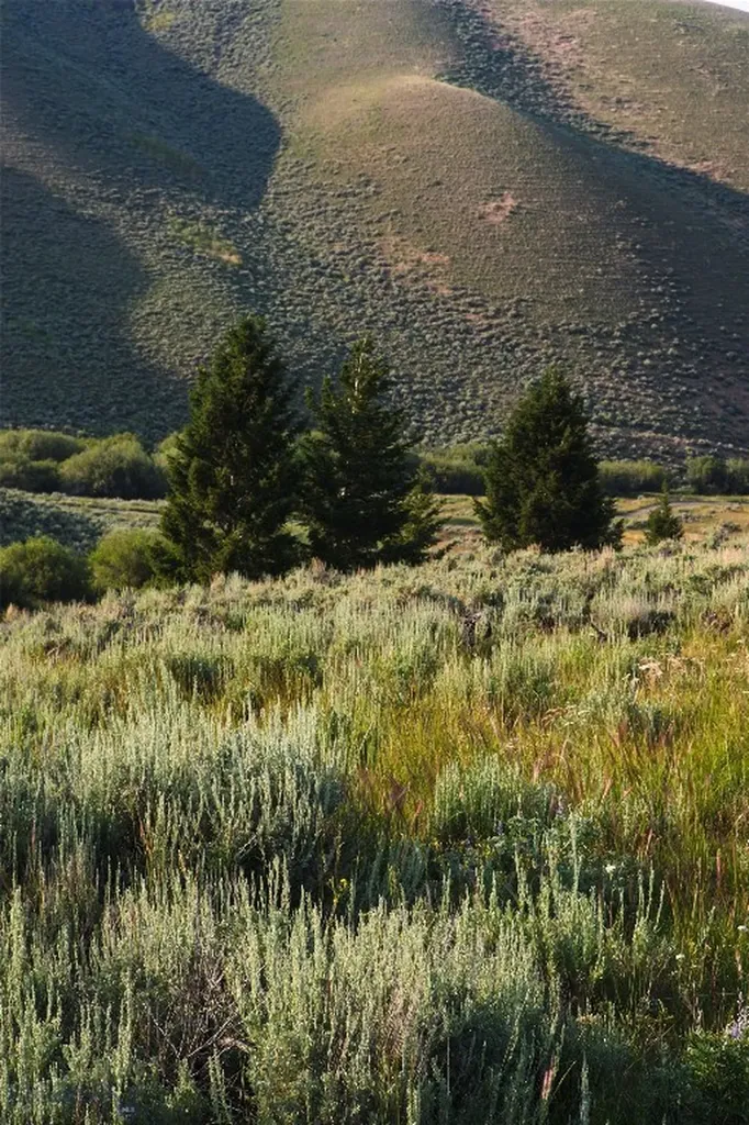 31420 Highway 324 Dillon MT 59725