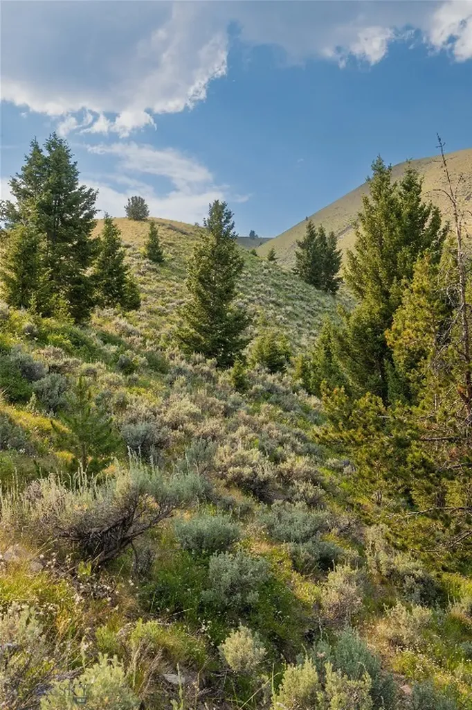31420 Highway 324 Dillon MT 59725