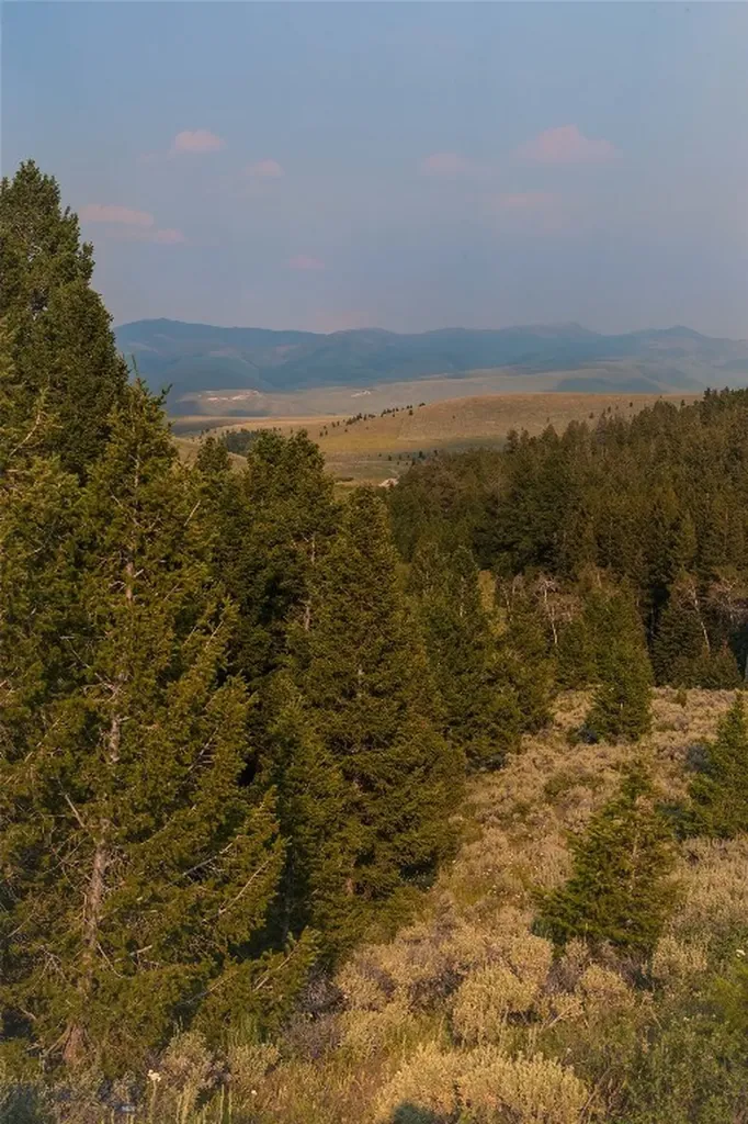 31420 Highway 324 Dillon MT 59725