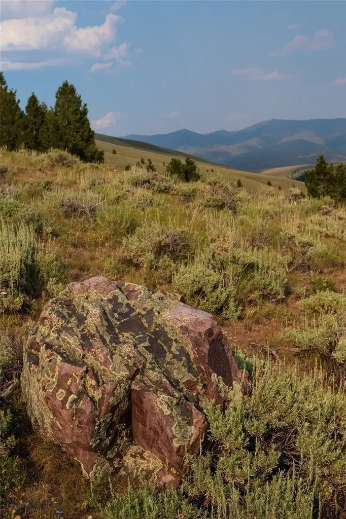 31420 Highway 324 Dillon MT 59725