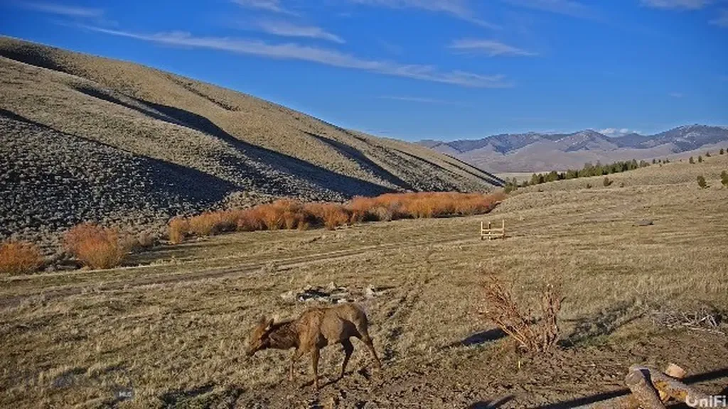 31420 Highway 324 Dillon MT 59725
