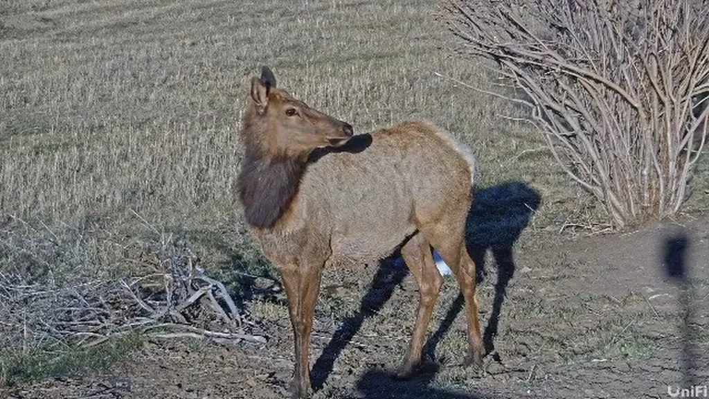 31420 Highway 324 Dillon MT 59725