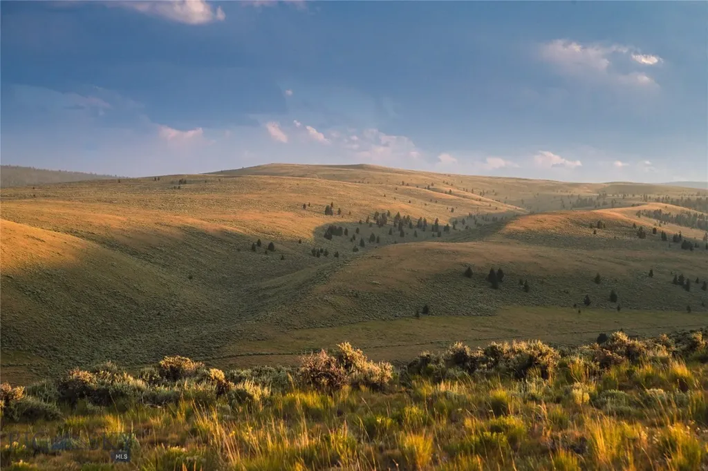 31420 Highway 324 Dillon MT 59725