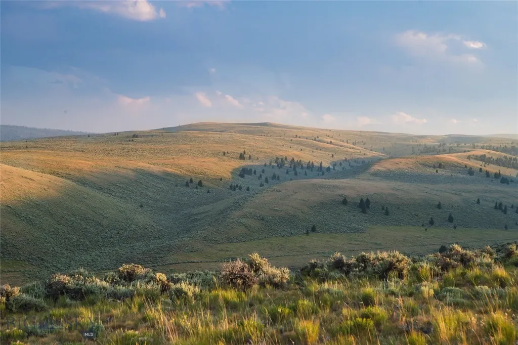 31420 Highway 324 Dillon MT 59725