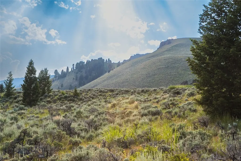 31420 Highway 324 Dillon MT 59725
