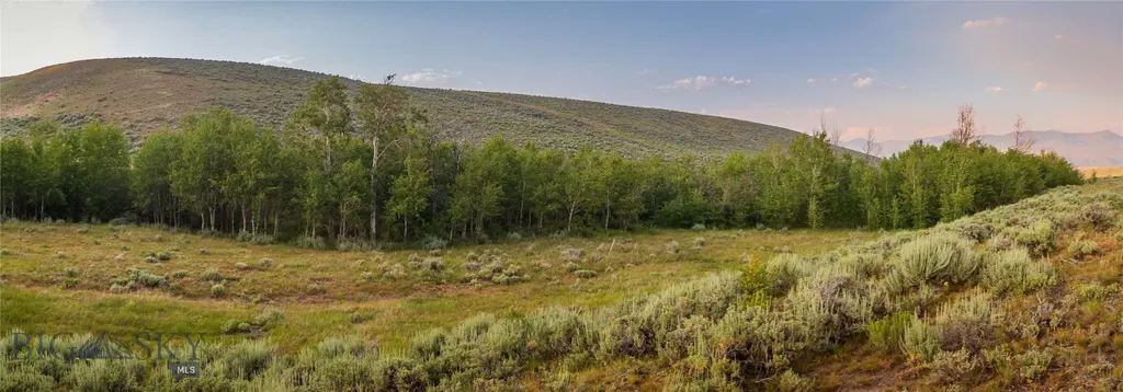 31420 Highway 324 Dillon MT 59725