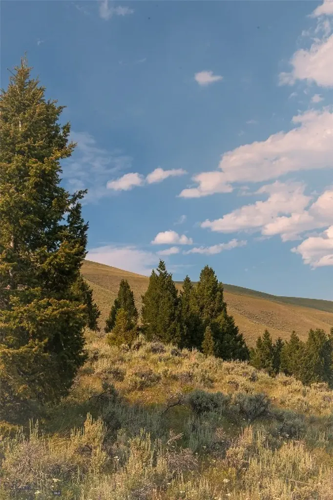 31420 Highway 324 Dillon MT 59725