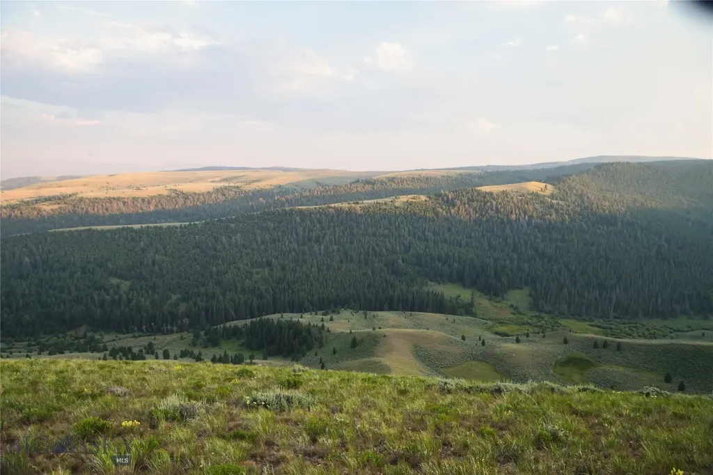 31420 Highway 324 Dillon MT 59725