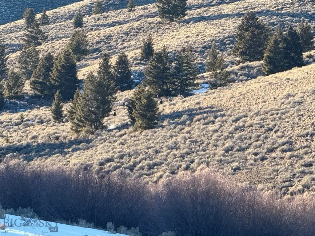 31420 Highway 324 Dillon MT 59725