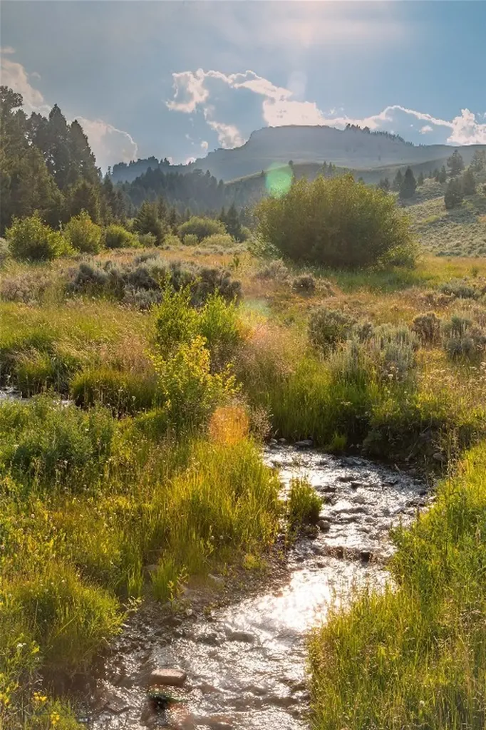 31420 Highway 324 Dillon MT 59725