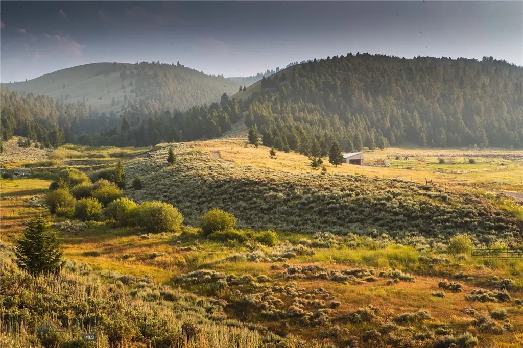31420 Highway 324 Dillon MT 59725