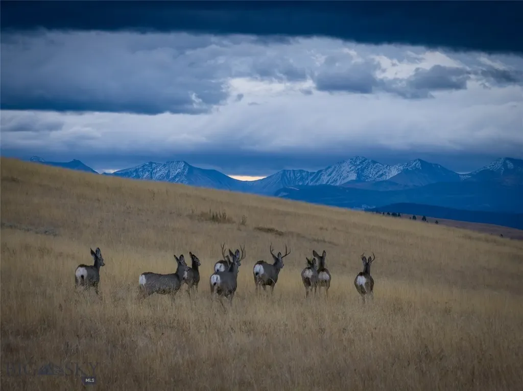 3793 Mount Highway 1 Philipsburg MT 59858