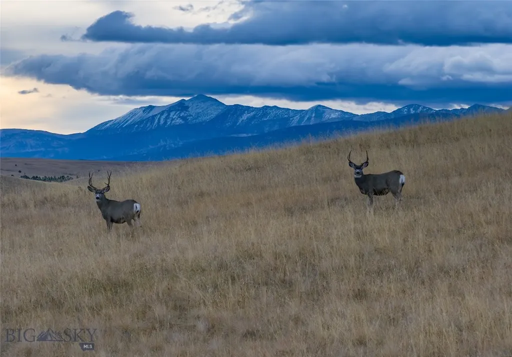 3793 Mount Highway 1 Philipsburg MT 59858