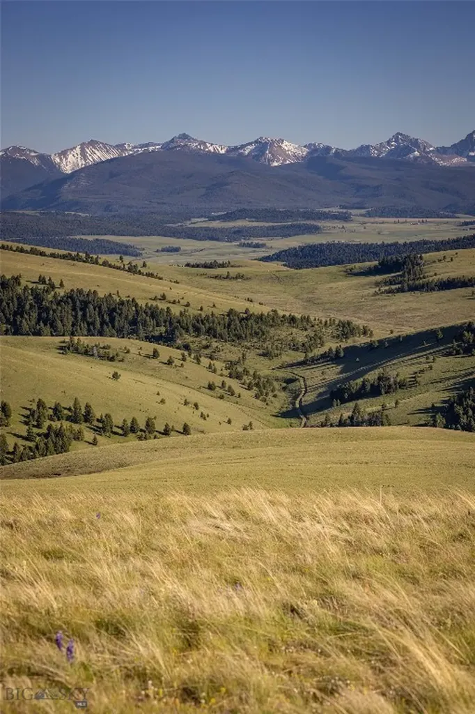 3793 Mount Highway 1 Philipsburg MT 59858