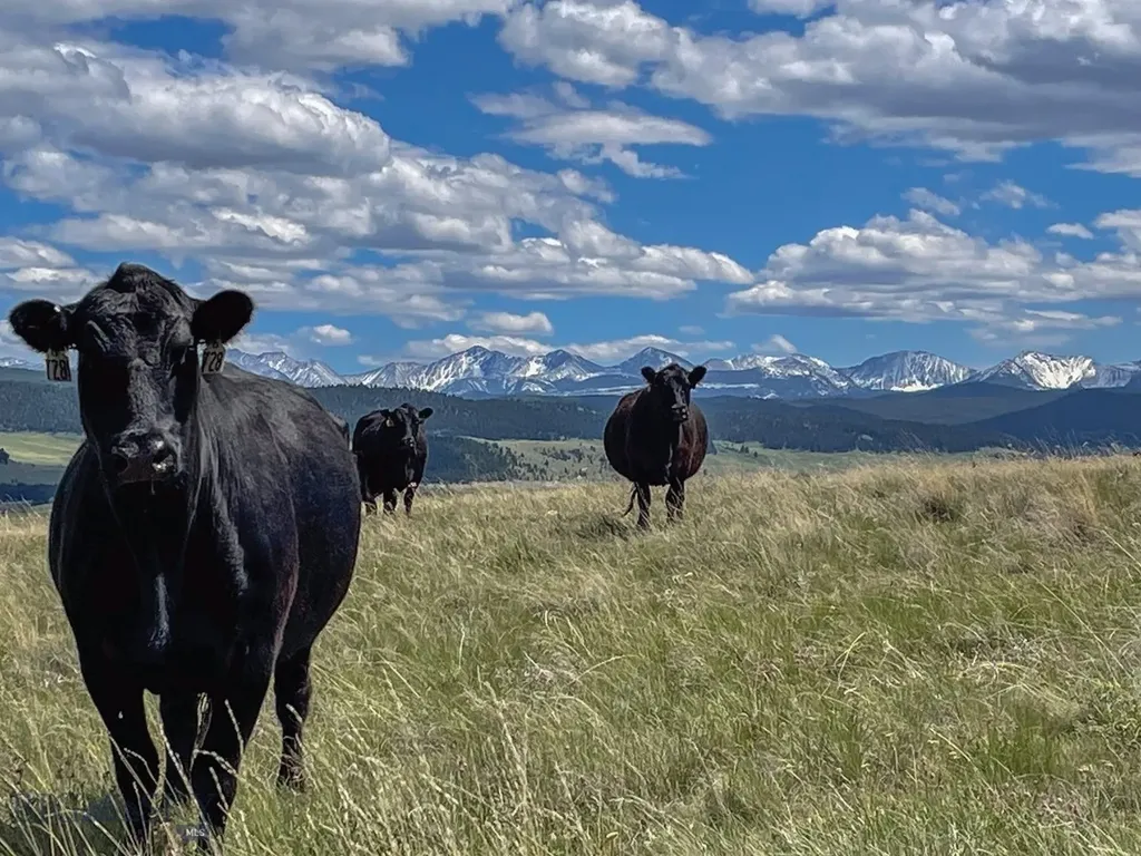3793 Mount Highway 1 Philipsburg MT 59858