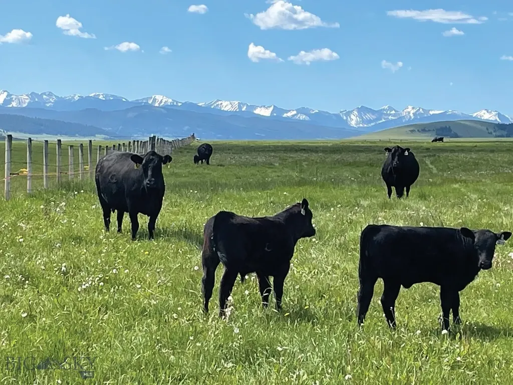 3793 Mount Highway 1 Philipsburg MT 59858