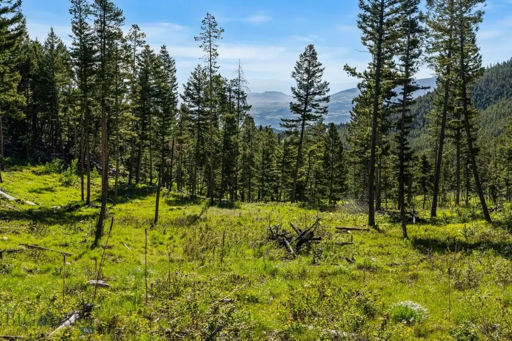 100 Big Indian Gulch Road Montana City MT 59634