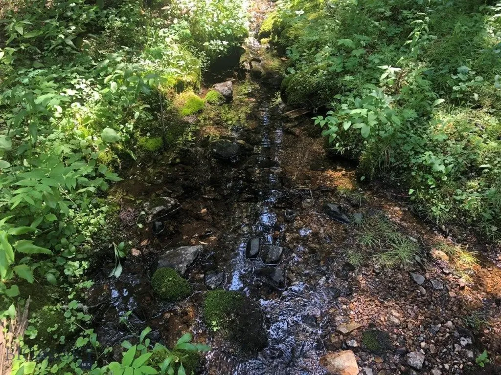 Cardwell MT 59729