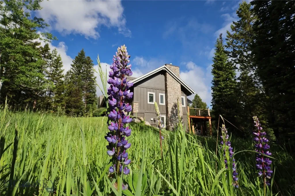 83 W Pine Cone Terrace Big Sky MT 59716