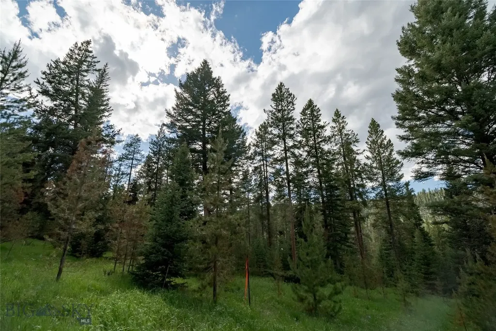 Lot 30 Colters Run Loop Gallatin Gateway MT 59730