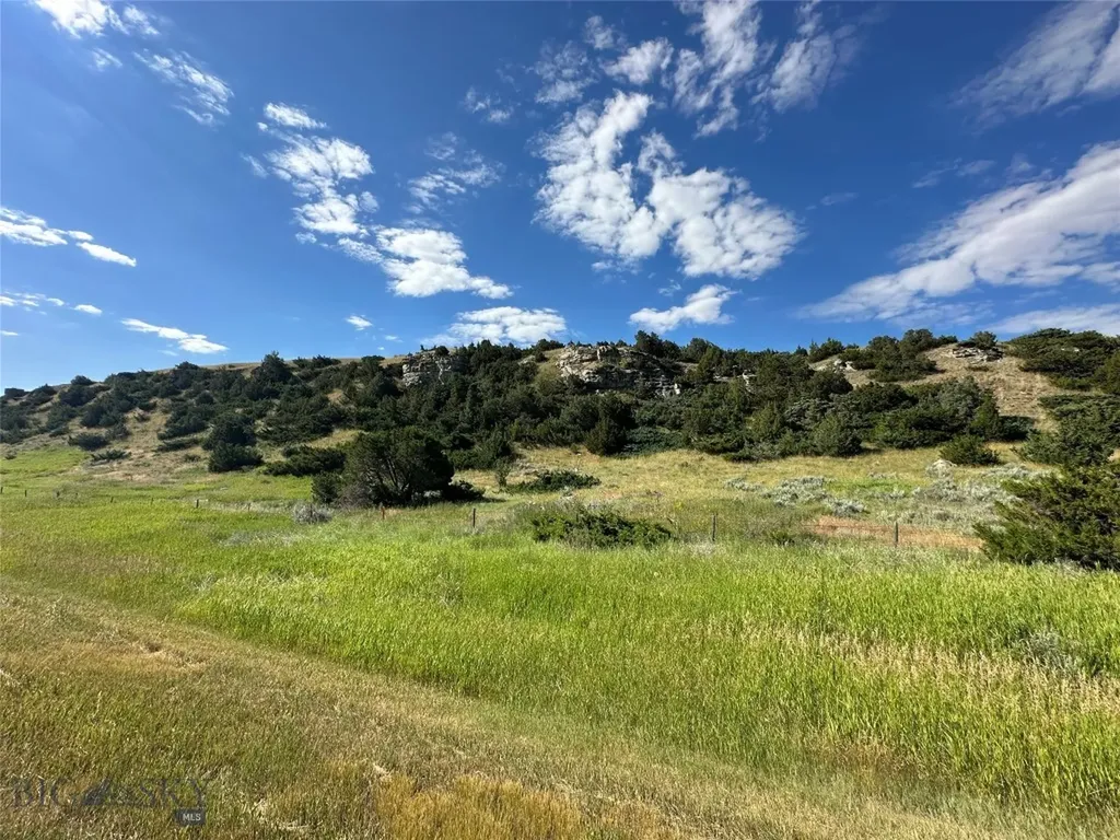 Tbd Lower Deer Creek Road Big Timber MT 59011