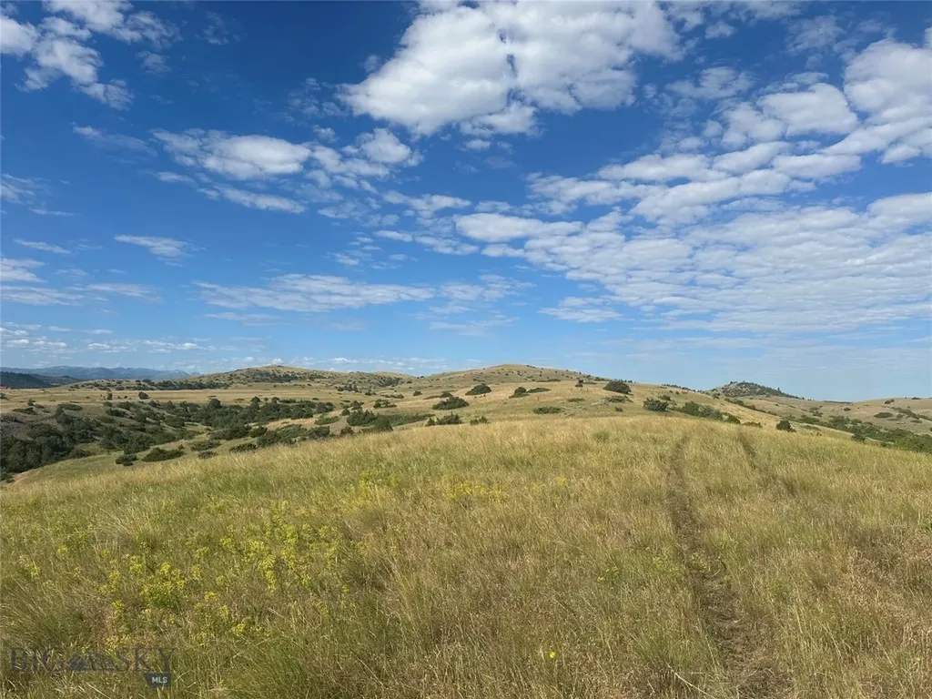 Tbd Lower Deer Creek Road Big Timber MT 59011