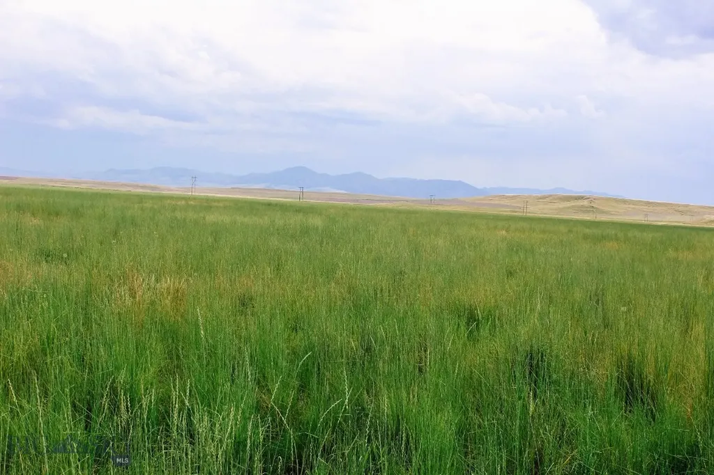 Muddy Creek Ranch Cascade MT 59421