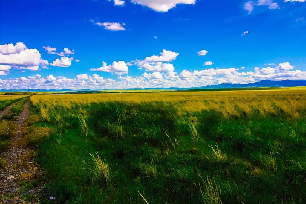 Muddy Creek Ranch Cascade MT 59421