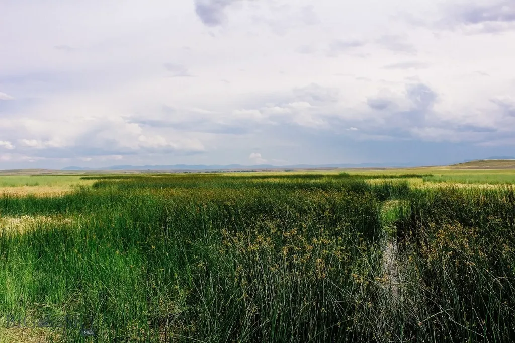 Muddy Creek Ranch Cascade MT 59421