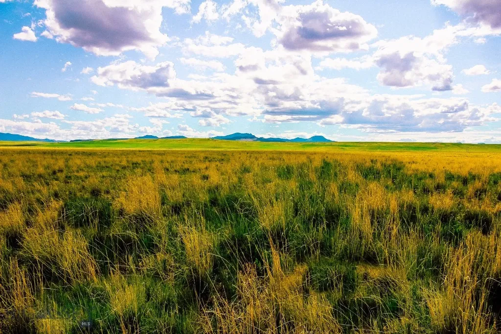 Muddy Creek Ranch Cascade MT 59421