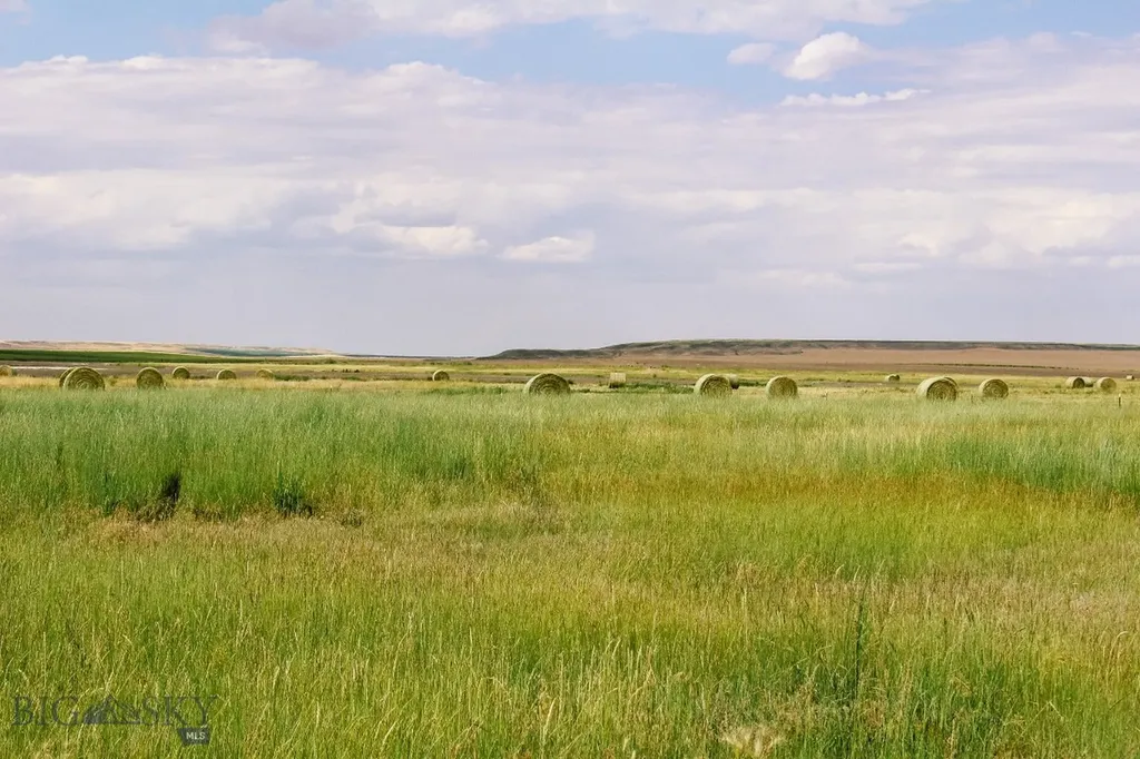 Muddy Creek Ranch Cascade MT 59421
