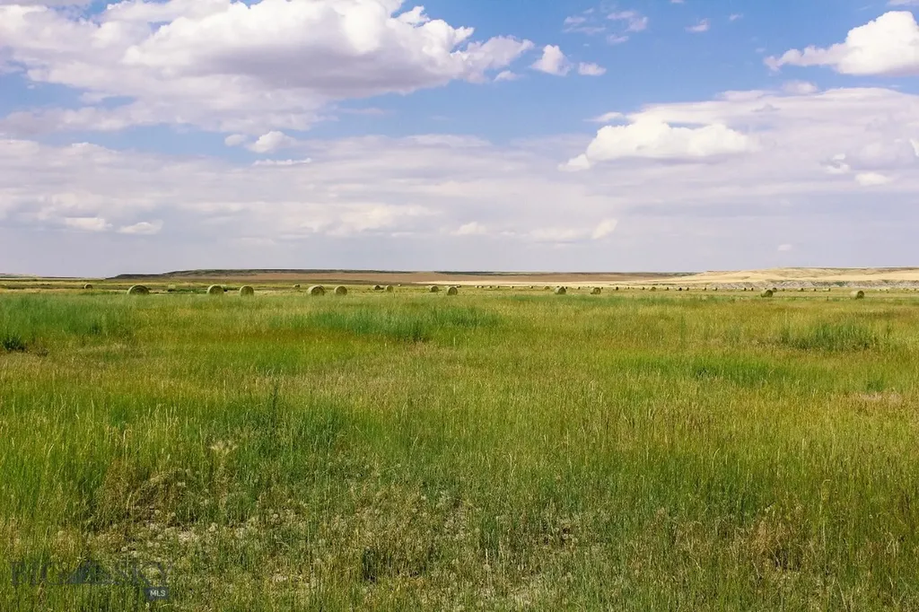 Muddy Creek Ranch Cascade MT 59421