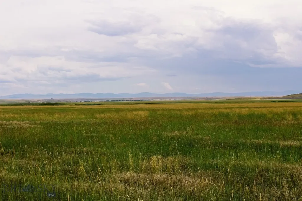 Muddy Creek Ranch Cascade MT 59421