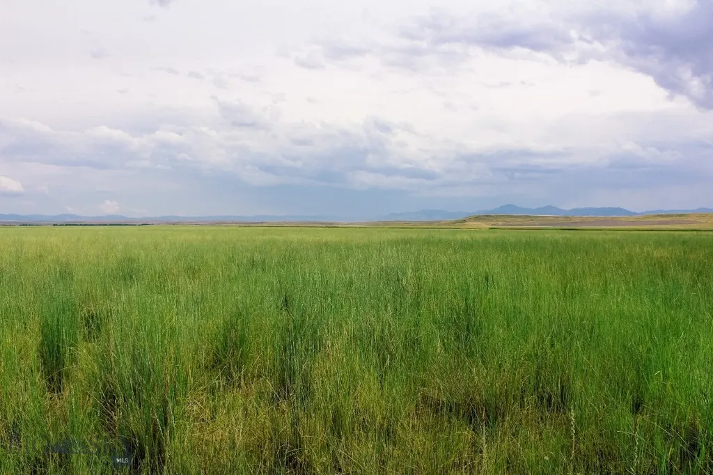 Muddy Creek Ranch Cascade MT 59421