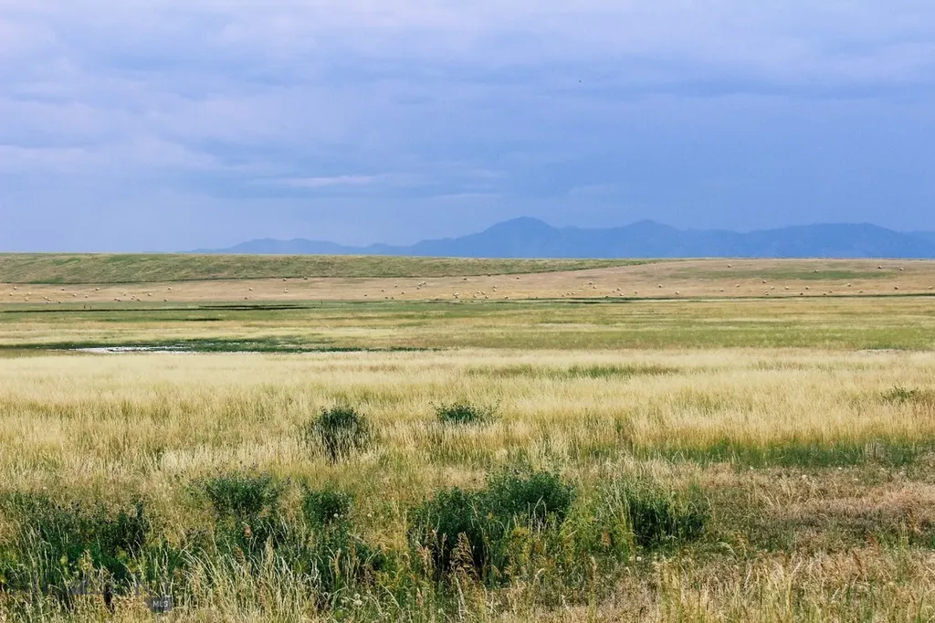 Muddy Creek Ranch Cascade MT 59421