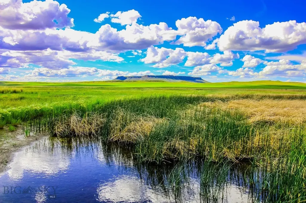 Muddy Creek Ranch Cascade MT 59421
