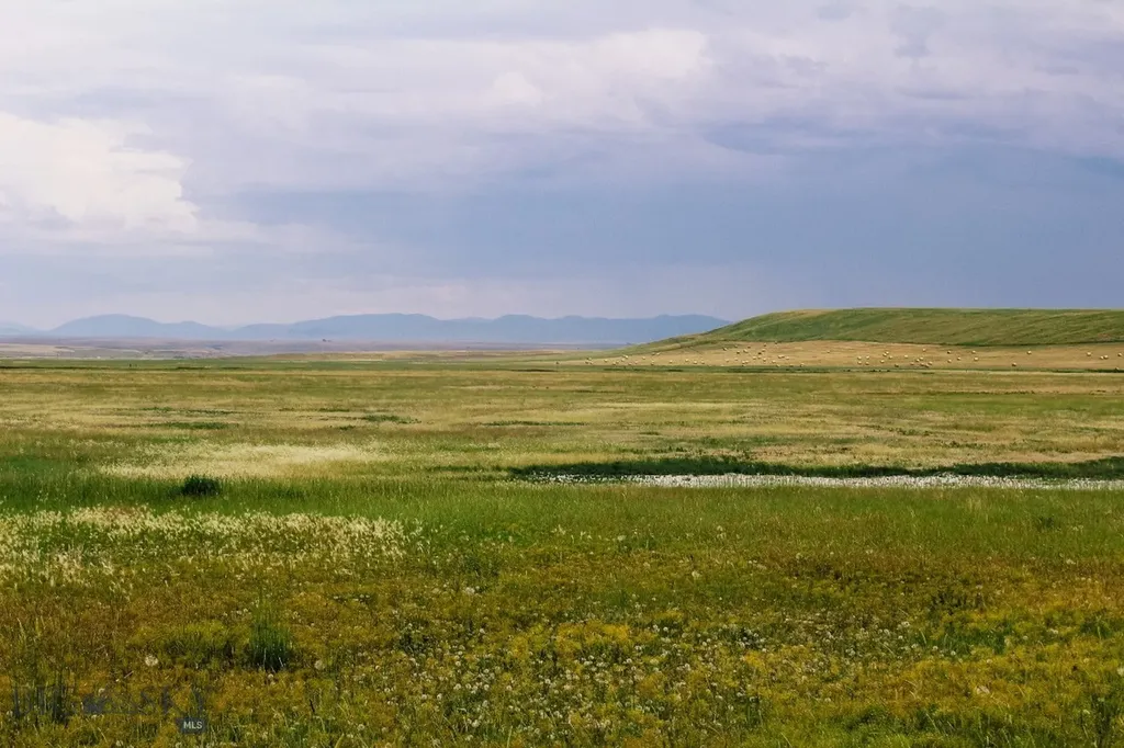 Muddy Creek Ranch Cascade MT 59421