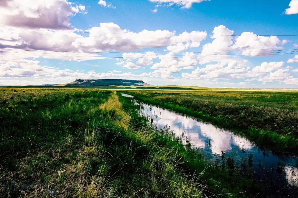 Muddy Creek Ranch Cascade MT 59421