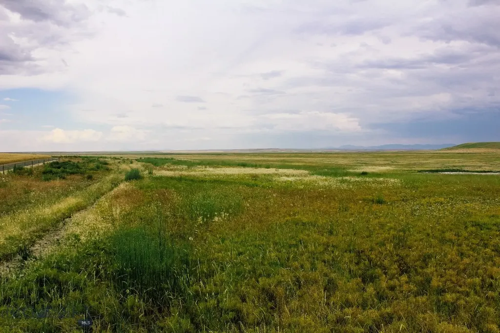 Muddy Creek Ranch Cascade MT 59421