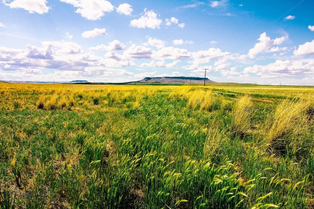 Muddy Creek Ranch Cascade MT 59421