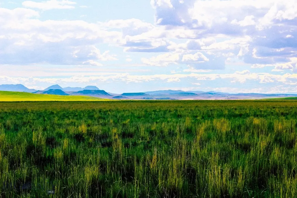 Muddy Creek Ranch Cascade MT 59421
