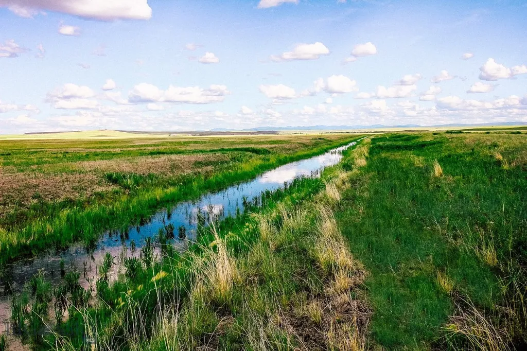 Muddy Creek Ranch Cascade MT 59421