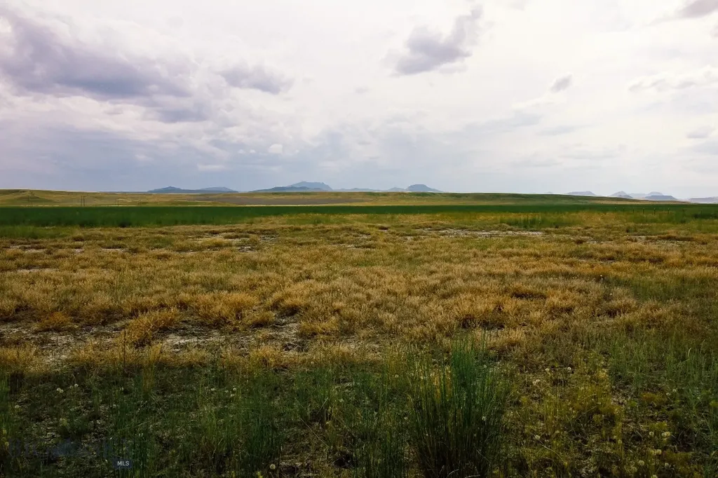 Muddy Creek Ranch Cascade MT 59421
