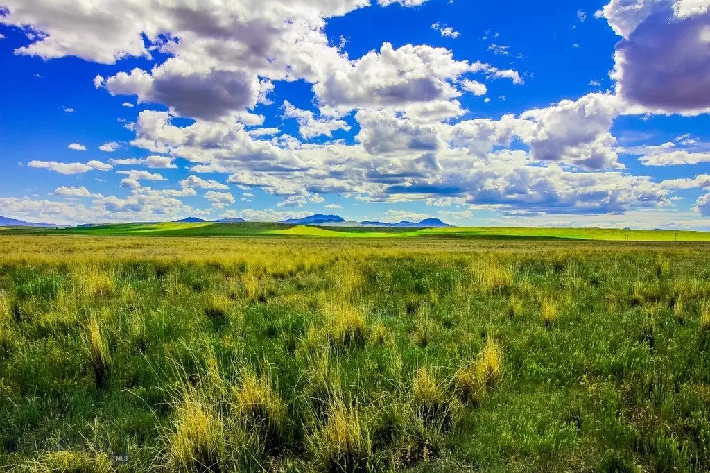Muddy Creek Ranch Cascade MT 59421